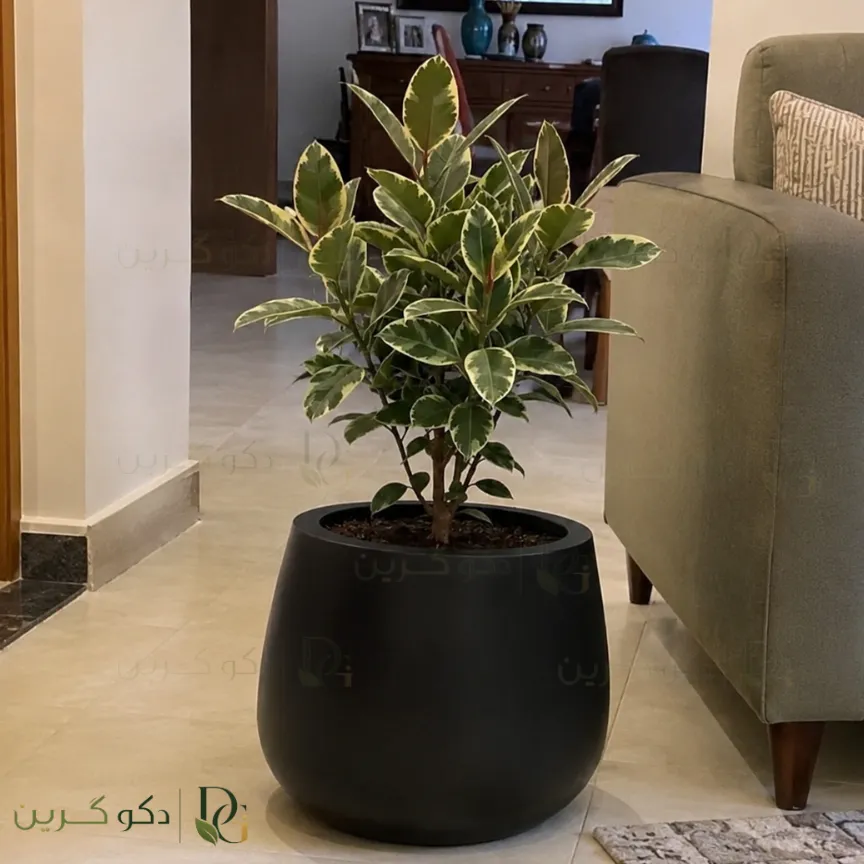 گلدان فایبرگلاس مدل دیگی شیک برای پزیرایی